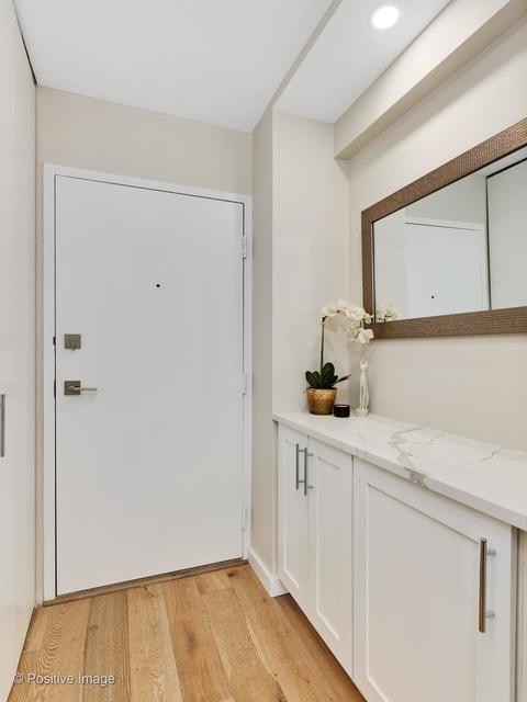 30 Elm St #9E, Chicago, IL 60611 photo 2