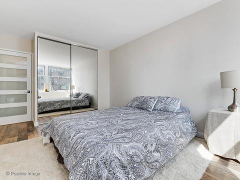 30 Elm St #9E, Chicago, IL 60611 photo 13