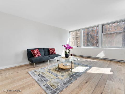 30 Elm St #9E, Chicago, IL 60611 photo 10
