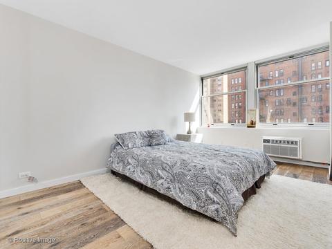 30 Elm St #9E, Chicago, IL 60611 photo 12