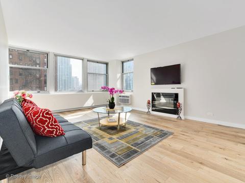 30 Elm St #9E, Chicago, IL 60611 photo 8