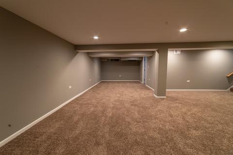 20421 Hellenic Dr, Olympia Fields, IL 60461 photo 25