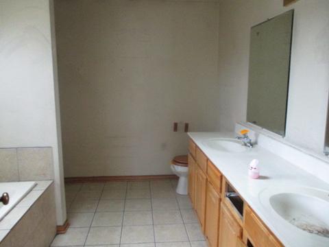 15634 Spaulding Ave, Markham, IL 60428 photo 9