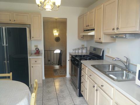 411 Dover Dr, Roselle, IL 60172 photo 6