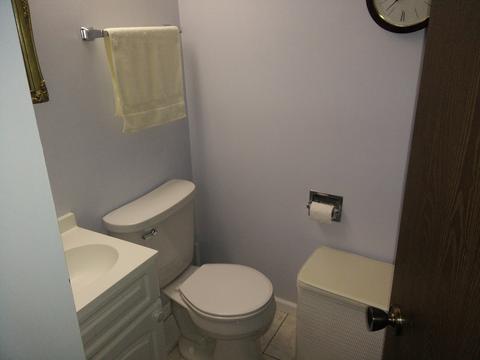 411 Dover Dr, Roselle, IL 60172 photo 20