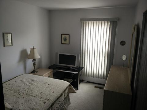 411 Dover Dr, Roselle, IL 60172 photo 11