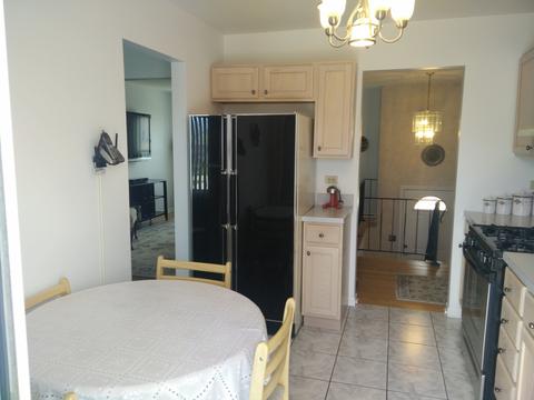 411 Dover Dr, Roselle, IL 60172 photo 7