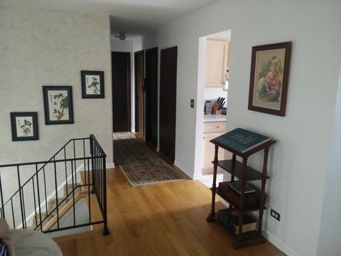 411 Dover Dr, Roselle, IL 60172 photo 5
