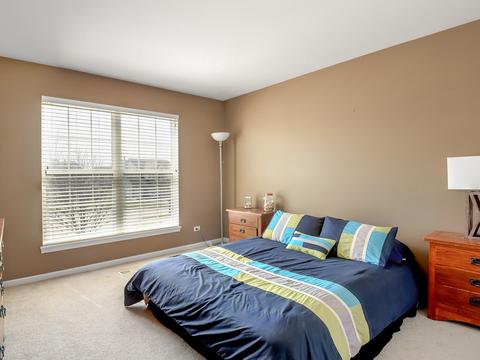 2100 Hearthstone Dr, Bartlett, IL 60103 photo 21