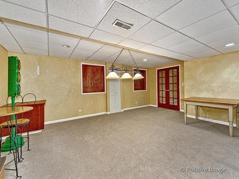 1463 Saddleridge Pl, Bartlett, IL 60103 photo 25