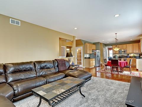 1463 Saddleridge Pl, Bartlett, IL 60103 photo 15