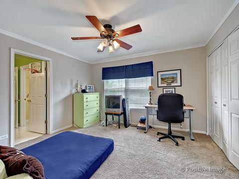 1463 Saddleridge Pl, Bartlett, IL 60103 photo 20