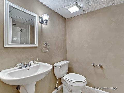 1463 Saddleridge Pl, Bartlett, IL 60103 photo 26