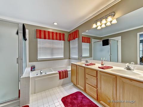 1463 Saddleridge Pl, Bartlett, IL 60103 photo 19