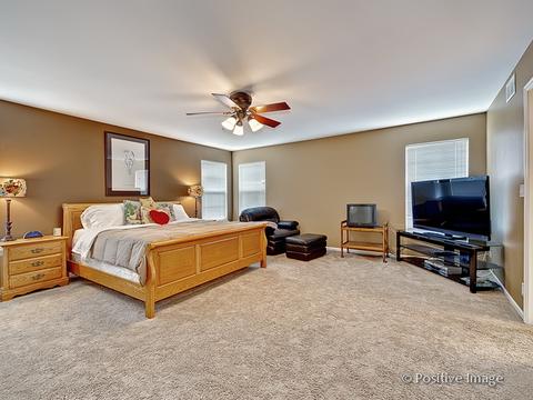 1463 Saddleridge Pl, Bartlett, IL 60103 photo 18