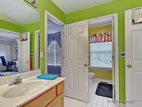 1463 Saddleridge Pl, Bartlett, IL 60103 photo 21