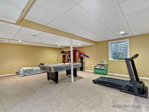 1463 Saddleridge Pl, Bartlett, IL 60103 photo 24