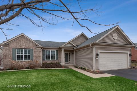 815 Rambling Brook Cir, Elgin, IL 60124 photo 1