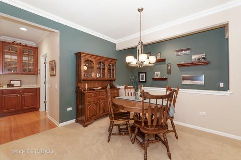 815 Rambling Brook Cir, Elgin, IL 60124 photo 14