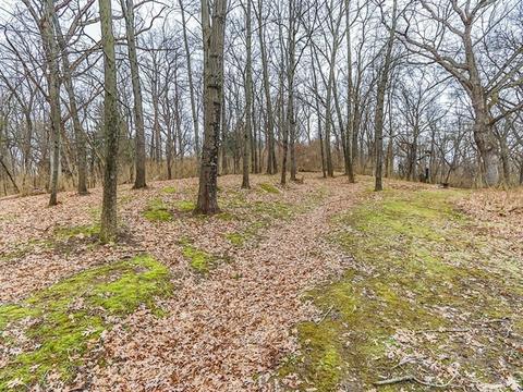 5465 Edgewood Dr, Algonquin, IL 60102 photo 27