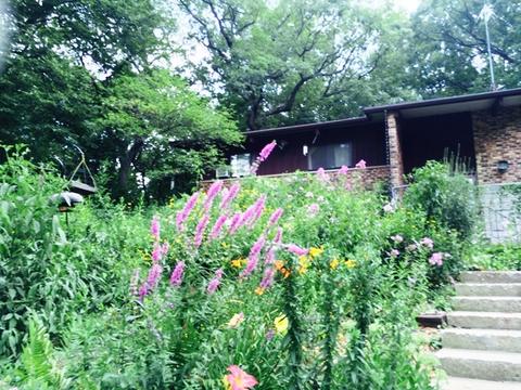 5465 Edgewood Dr, Algonquin, IL 60102 photo 34