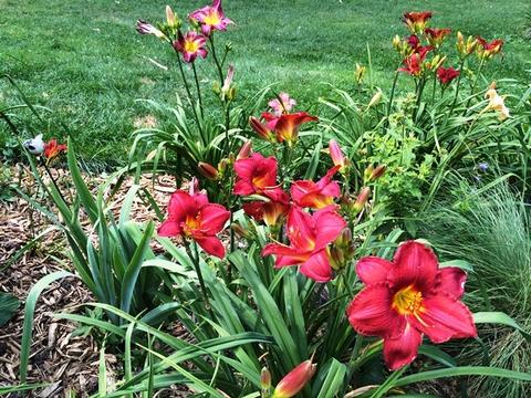 5465 Edgewood Dr, Algonquin, IL 60102 photo 35