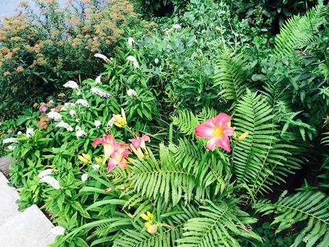 5465 Edgewood Dr, Algonquin, IL 60102 photo 33
