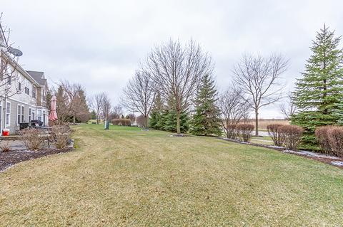 2641 Williamsburg Dr, Algonquin, IL 60102 photo 26