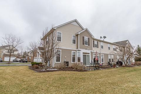 2641 Williamsburg Dr, Algonquin, IL 60102 photo 25
