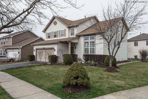 22032 W Pasadena Dr, Plainfield, IL 60544 photo 3