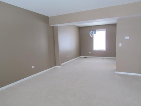 1860 E Ivy Cir, Lindenhurst, IL 60046 photo 5