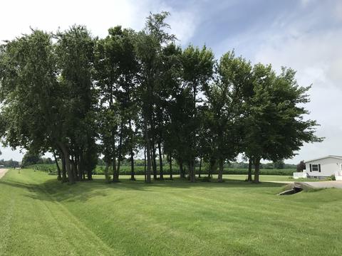 4101 E 4th Rd, Mendota, IL 61342 photo 4
