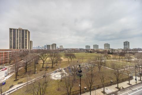 207 E 31st St #5B, Chicago, IL 60616 photo 16