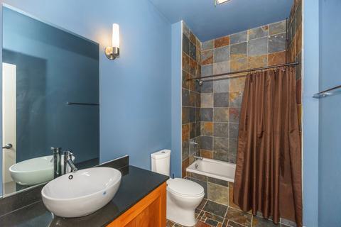 207 E 31st St #5B, Chicago, IL 60616 photo 15