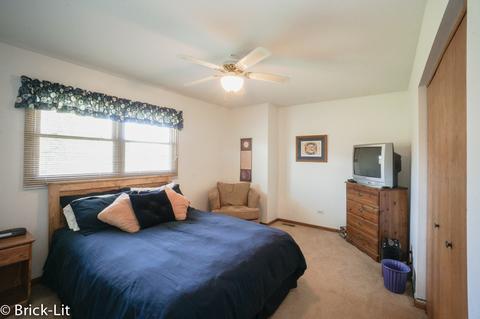 19227 Weber Rd, Mokena, IL 60448 photo 18