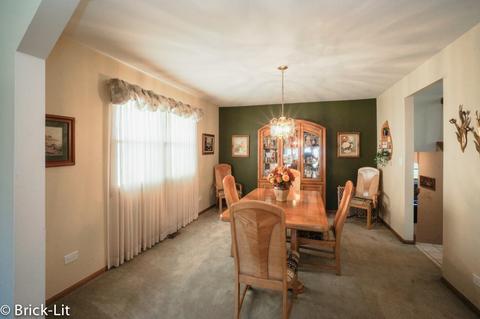 19227 Weber Rd, Mokena, IL 60448 photo 8