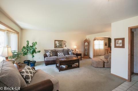19227 Weber Rd, Mokena, IL 60448 photo 6