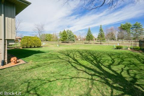19227 Weber Rd, Mokena, IL 60448 photo 4