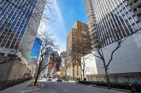 1 E Scott St #2310, Chicago, IL 60610 photo 10
