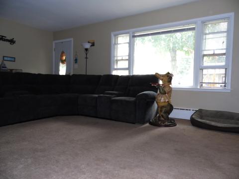 1002 North St, Mazon, IL 60444 photo 3