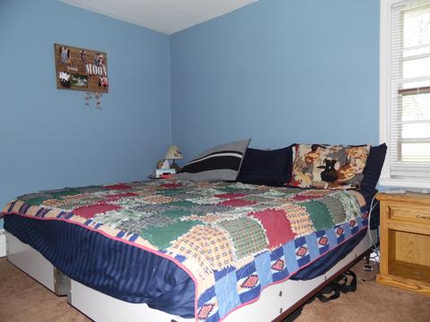 1002 North St, Mazon, IL 60444 photo 14