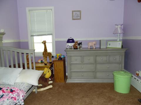 1002 North St, Mazon, IL 60444 photo 13