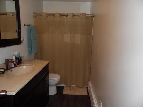 1002 North St, Mazon, IL 60444 photo 10