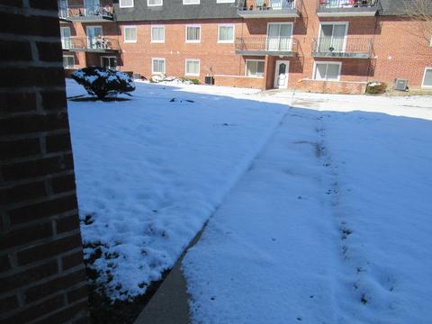 3012 W 171st St #2F, Hazel Crest, IL 60429 photo 34