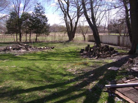 81 Maple St, Elgin, IL 60123 photo 14