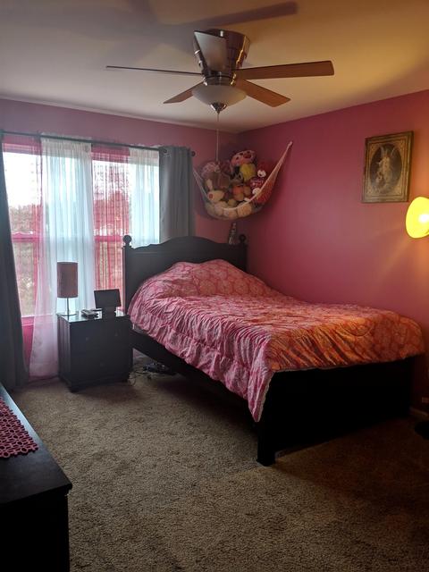 321 Prairie Dr, Harvard, IL 60033 photo 27