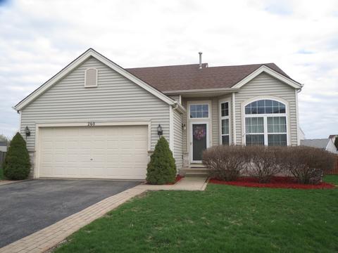 260 Switchgrass Dr, Minooka, IL 60447 photo 1