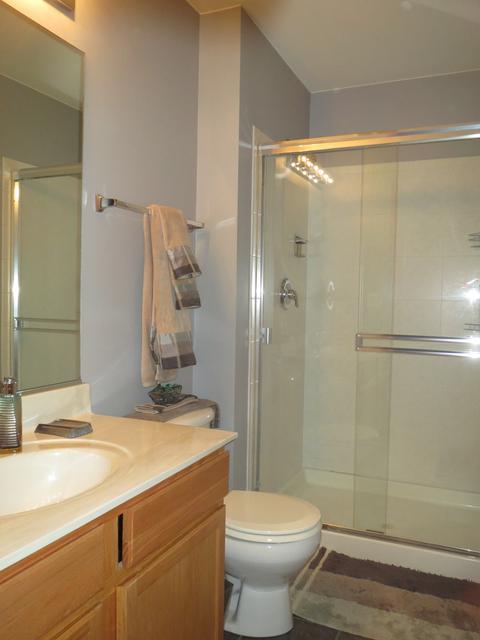 260 Switchgrass Dr, Minooka, IL 60447 photo 24