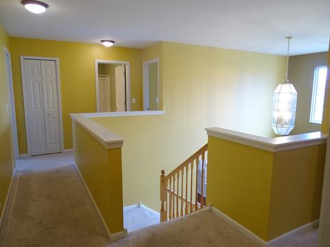 12829 Summerhouse Dr, Plainfield, IL 60585 photo 12