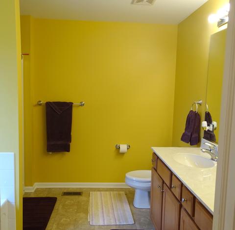 12829 Summerhouse Dr, Plainfield, IL 60585 photo 16